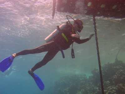 red sea_090.jpg